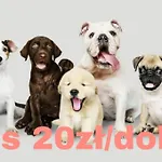 Feriehus Na Skarpie Zubrzyca Dolna